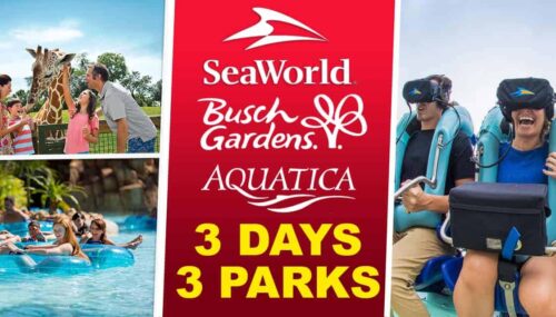 Exclusive SeaWorld Orlando ticket discounts: Mako rollercoaster, family-friendly shows, and aquatic adventures.