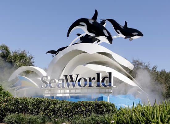 Exclusive SeaWorld Orlando ticket discounts: Mako rollercoaster, family-friendly shows, and aquatic adventures.