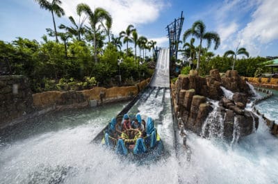 Exclusive SeaWorld Orlando ticket discounts: Mako rollercoaster, family-friendly shows, and aquatic adventures.