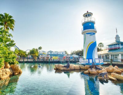Exclusive SeaWorld Orlando ticket discounts: Mako rollercoaster, family-friendly shows, and aquatic adventures.