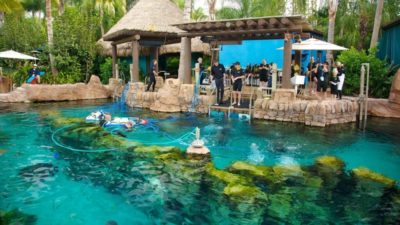 Exclusive SeaWorld Orlando ticket discounts: Mako rollercoaster, family-friendly shows, and aquatic adventures.