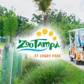 Orlando Parks Tickets cheap packages Deals and Discounts starting from $39