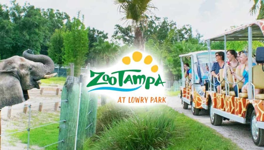 Zoo Tampa 900x513 