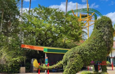 Busch Gardens Tampa exclusive deals: Cheetah Hunt coaster excitement, animal encounters, special pass savings.