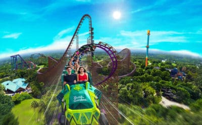 Busch Gardens Tampa exclusive deals: Cheetah Hunt coaster excitement, animal encounters, special pass savings.