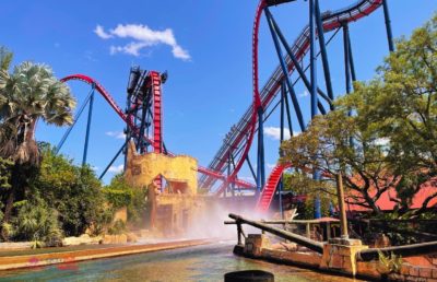 Busch Gardens Tampa exclusive deals: Cheetah Hunt coaster excitement, animal encounters, special pass savings.