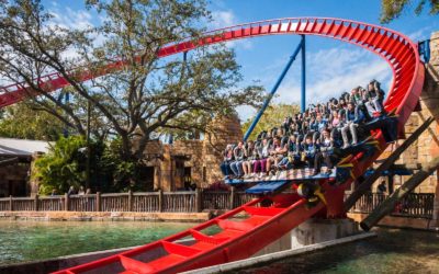Busch Gardens Tampa exclusive deals: Cheetah Hunt coaster excitement, animal encounters, special pass savings.