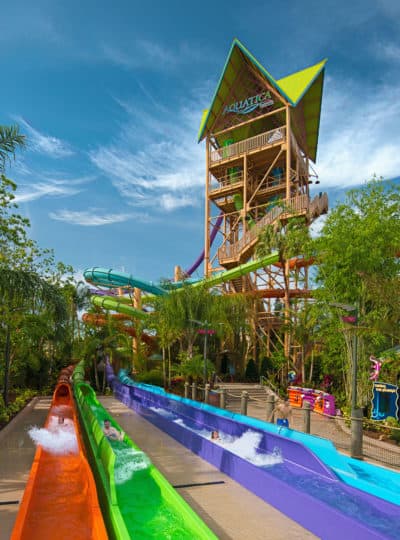 Aquatica Orlando 1 Day Ticket Save on Orlando Theme Park Thrills: Discounted Tickets, Special Offers, and Deals