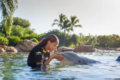 Aquatica Orlando 1 Day Ticket Save on Orlando Theme Park Thrills: Discounted Tickets, Special Offers, and Deals