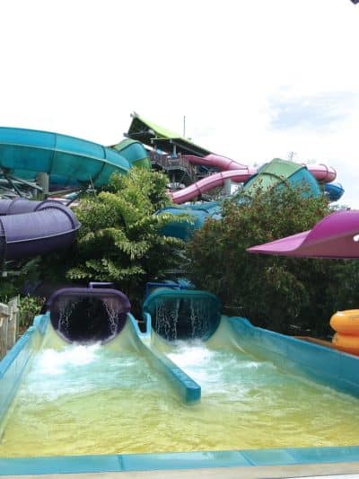 Aquatica Orlando 1 Day Ticket Save on Orlando Theme Park Thrills: Discounted Tickets, Special Offers, and Deals