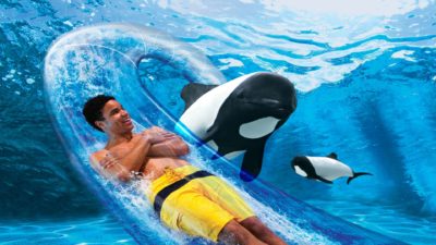 Aquatica Orlando 1 Day Ticket Save on Orlando Theme Park Thrills: Discounted Tickets, Special Offers, and Deals