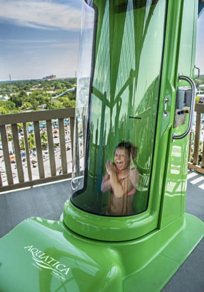 Aquatica Orlando 1 Day Ticket Save on Orlando Theme Park Thrills: Discounted Tickets, Special Offers, and Deals