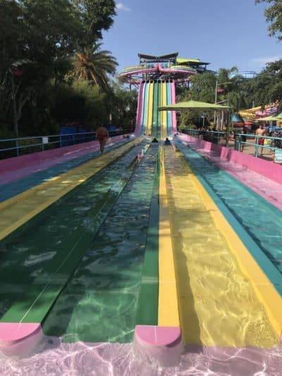 Aquatica Orlando 1 Day Ticket Save on Orlando Theme Park Thrills: Discounted Tickets, Special Offers, and Deals
