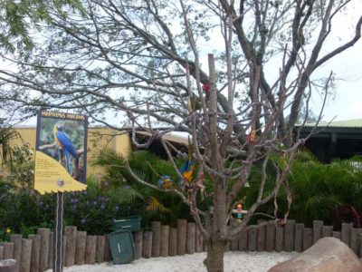 Aquatica Orlando 1 Day Ticket Save on Orlando Theme Park Thrills: Discounted Tickets, Special Offers, and Deals