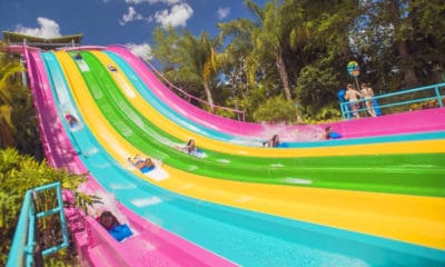 Aquatica Orlando 1 Day Ticket Save on Orlando Theme Park Thrills: Discounted Tickets, Special Offers, and Deals