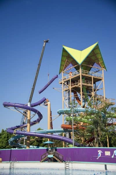 Aquatica Orlando 1 Day Ticket Save on Orlando Theme Park Thrills: Discounted Tickets, Special Offers, and Deals