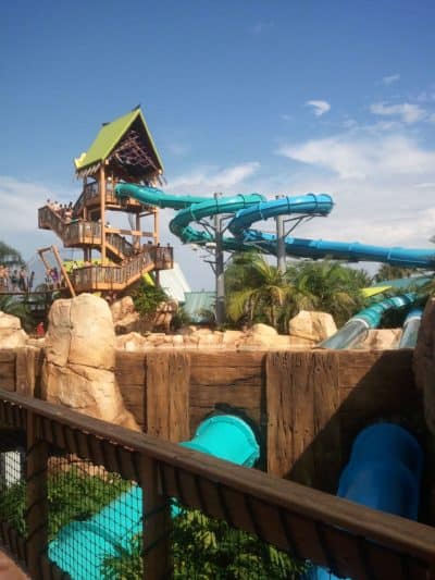 Aquatica Orlando 1 Day Ticket Save on Orlando Theme Park Thrills: Discounted Tickets, Special Offers, and Deals
