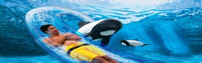 Aquatica Orlando 1 Day Ticket Save on Orlando Theme Park Thrills: Discounted Tickets, Special Offers, and Deals