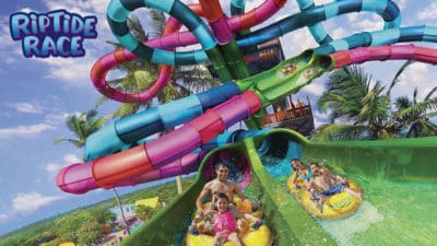 Aquatica Orlando 1 Day Ticket Save on Orlando Theme Park Thrills: Discounted Tickets, Special Offers, and Deals
