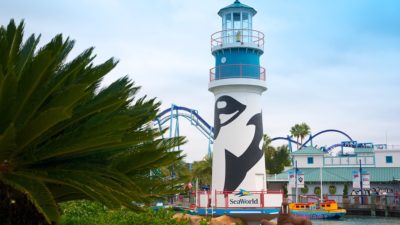 Aquatica Orlando 1 Day Ticket Save on Orlando Theme Park Thrills: Discounted Tickets, Special Offers, and Deals