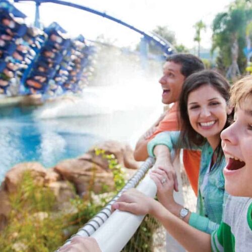 Exclusive SeaWorld Orlando ticket discounts: Mako rollercoaster, family-friendly shows, and aquatic adventures.
