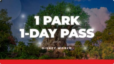 Animal Kingdom | Disney World Special