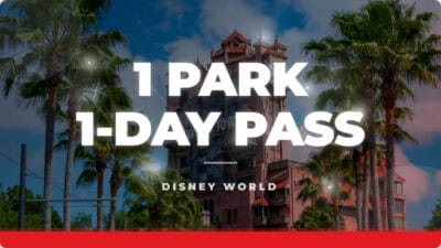 Hollywood Studios | Disney World Special