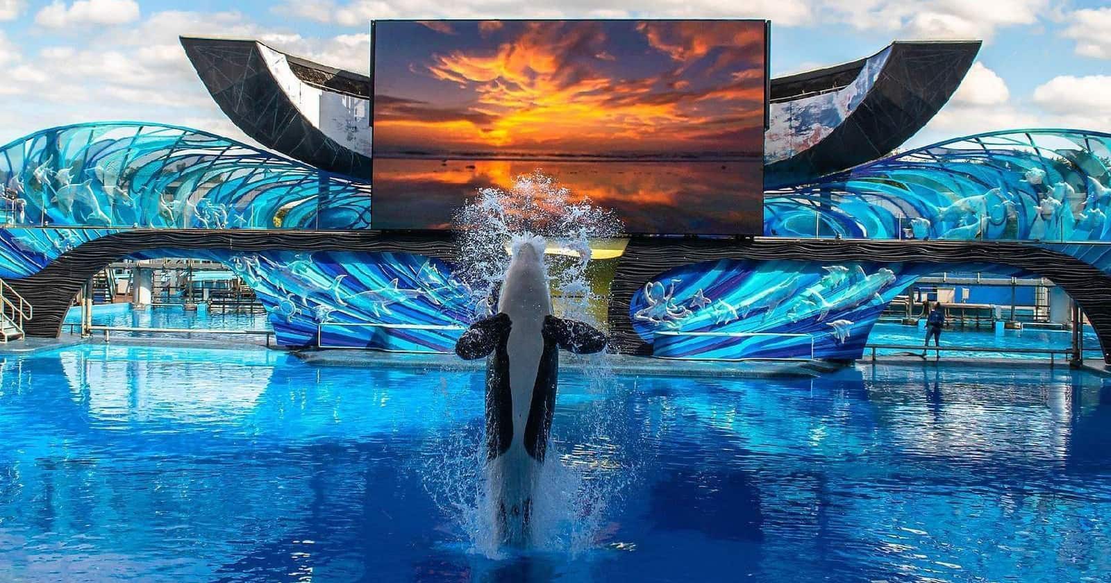 Orlando Discount Theme Park Tickets & Passes | Save Up to 50% Save on Orlando Theme Park Thrills: Discounted Tickets, Special Offers, and Deals