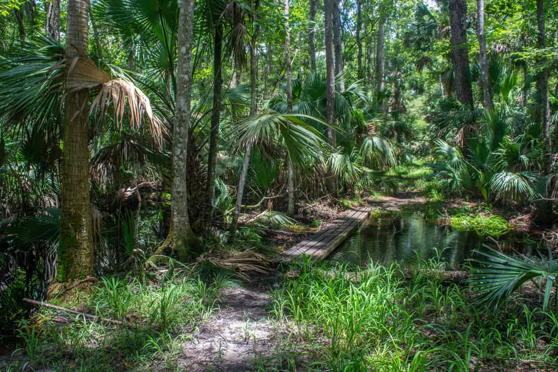 Wekiwa Springs State Park