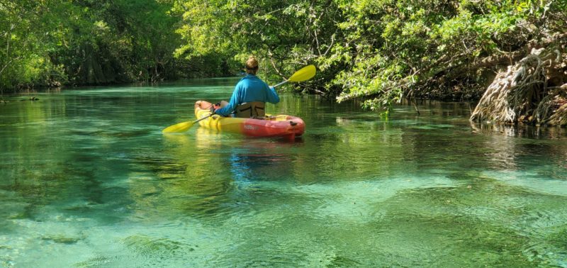 Wekiwa Springs State Park