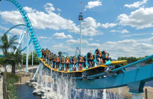 Seaworld Orlando special offers: Dolphin Cove, Manta Rollercoaster, discount tickets.
