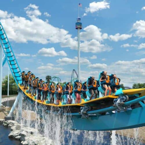 Seaworld Orlando special offers: Dolphin Cove, Manta Rollercoaster, discount tickets.