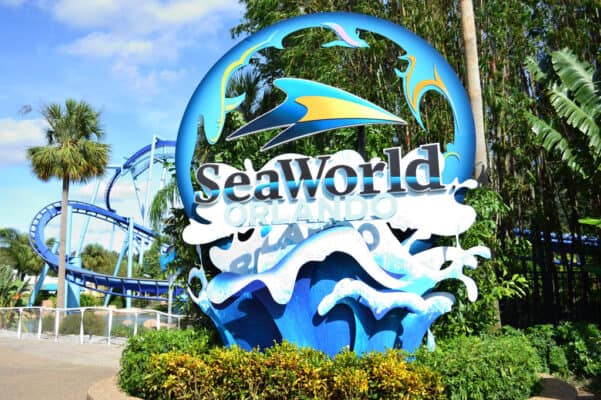Seaworld Orlando special offers: Dolphin Cove, Manta Rollercoaster, discount tickets