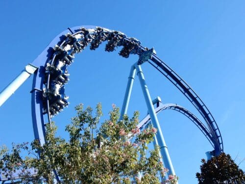 Seaworld Orlando special offers: Dolphin Cove, Manta Rollercoaster, discount tickets
