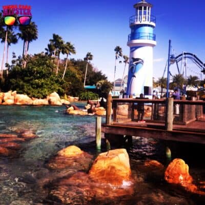 Seaworld Orlando special offers: Dolphin Cove, Manta Rollercoaster, discount tickets