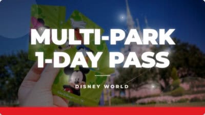 1-Day Pass HOPPER
