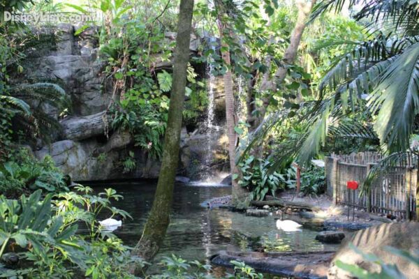 Discover The Wonders Of Busch Gardens New Wild Oasis Exhibit Save On Orlando Theme Park Thrills: Discounted Tickets, Special Offers, And Deals wild oasis exhibit